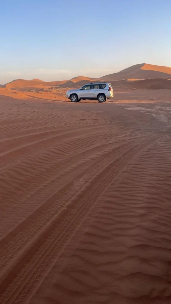 Vast golden sand dunes of the Merzouga Sahara in Morocco under a clear desert sky